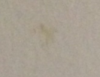 a.png