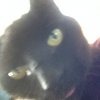 image.jpeg