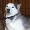 image.jpeg