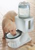 toilets10photo.jpg