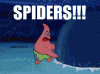 The+smaller+one+is+still+a+big+ass+spider+i+_5e95f1ad665dca74023d29a2c41ca436.gif