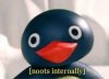 tumblr_n257y00x4L1stgvrso1_250.jpg