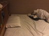 image.jpeg