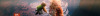 Eren-Jaeger-banner-SMALL.png