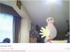 image.jpeg