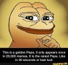 pepe 4.jpg
