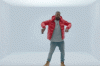 drake5_1.gif.CROP.original-original.gif