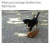image.jpeg