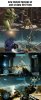 call-of-halo-annual-release-warfare_c_6688689.jpg