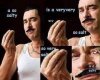 9443064.jpg