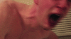 9408444_t.gif