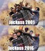 jackass_c_6687871.jpg