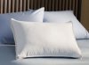091130_pillow.jpg