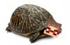 upload_2016-5-26_17-56-7.png