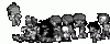 image.gif