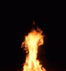 image.gif