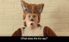 image.gif