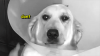dont.png