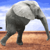 AScaryDinoRawr