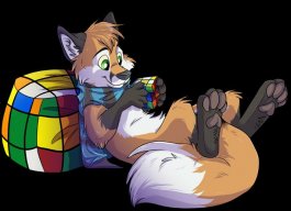 i_fox11
