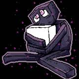 Enderman1029