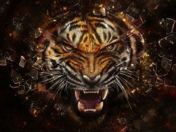 theattackergo132
