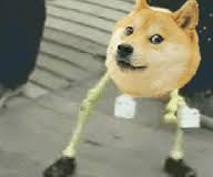 hidingintheshado