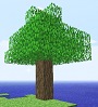 That_Sexy_Tree