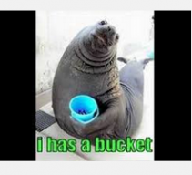 FabulishWalrus