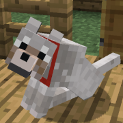 NinjaSteve896