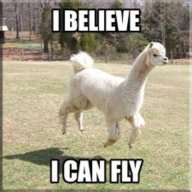 BestllamasCP