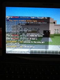 Minecraft