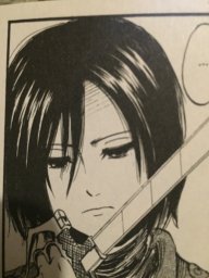 mlg_Mikasa