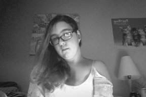 lily_the_flower