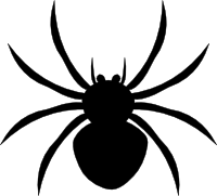 CaveSpider4396