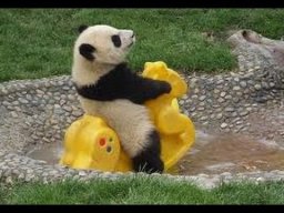 PandaWrecks