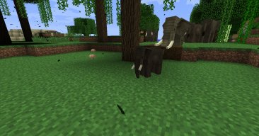elegantelephant