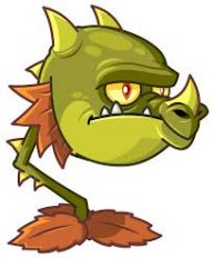 Kaktor14