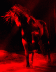 BlurryUnicorn