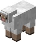 Mrsheepfromhell