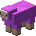 Sheeps Gone Wild