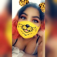 Snicker_Kitten