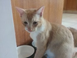 millylilly443