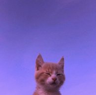 runaa