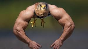 AaronYegg