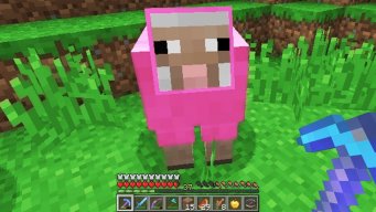pink_sheepy