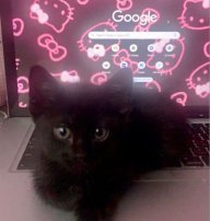 neela