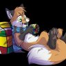 i_fox11