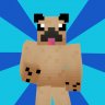 EpicDrewDog