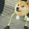 hidingintheshado